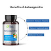 Ashwagandha Biogainz® 120 cápsulas